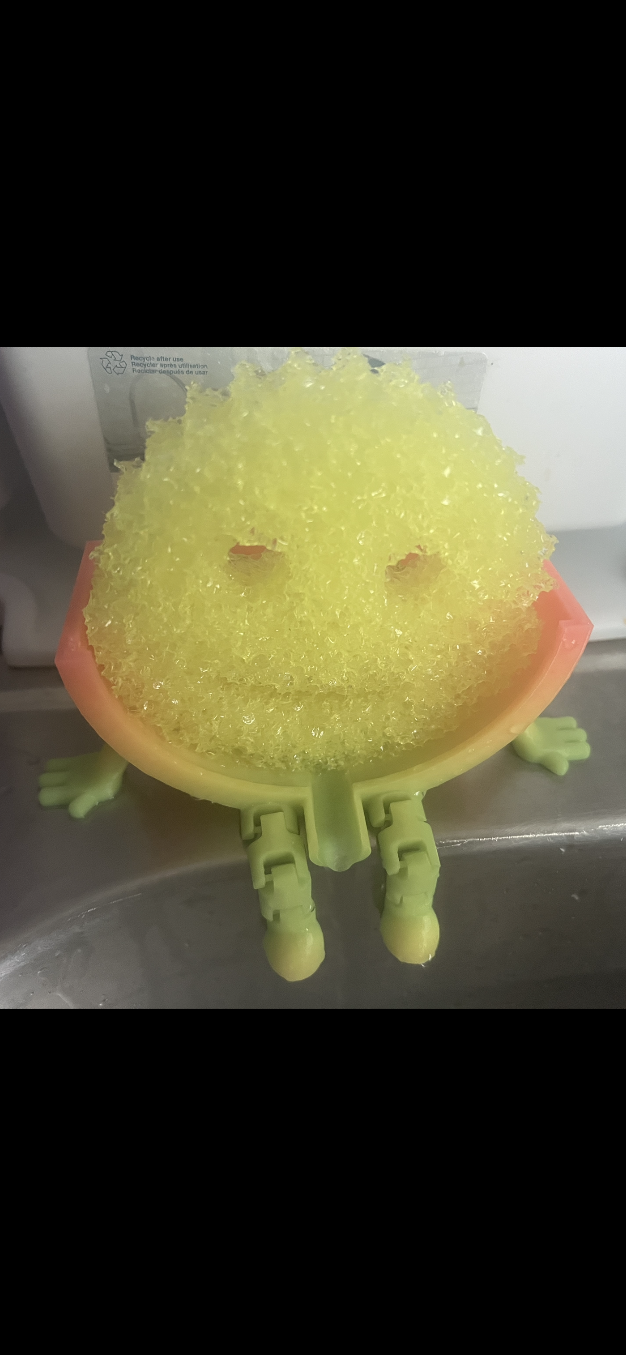 Sponge Caddy