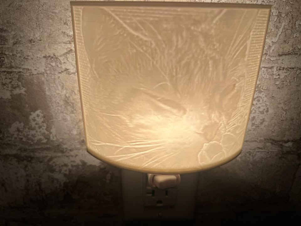 Custom Photo Lithophane Night Light