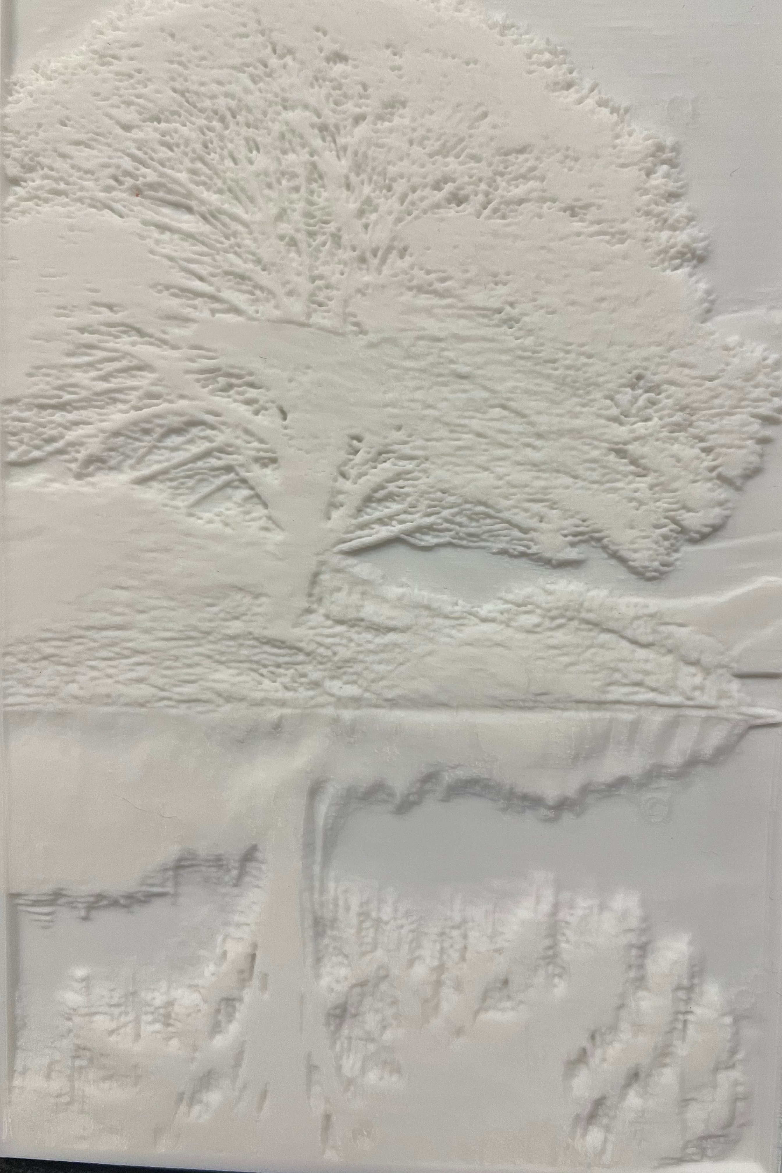 Custom Photo Lithophane
