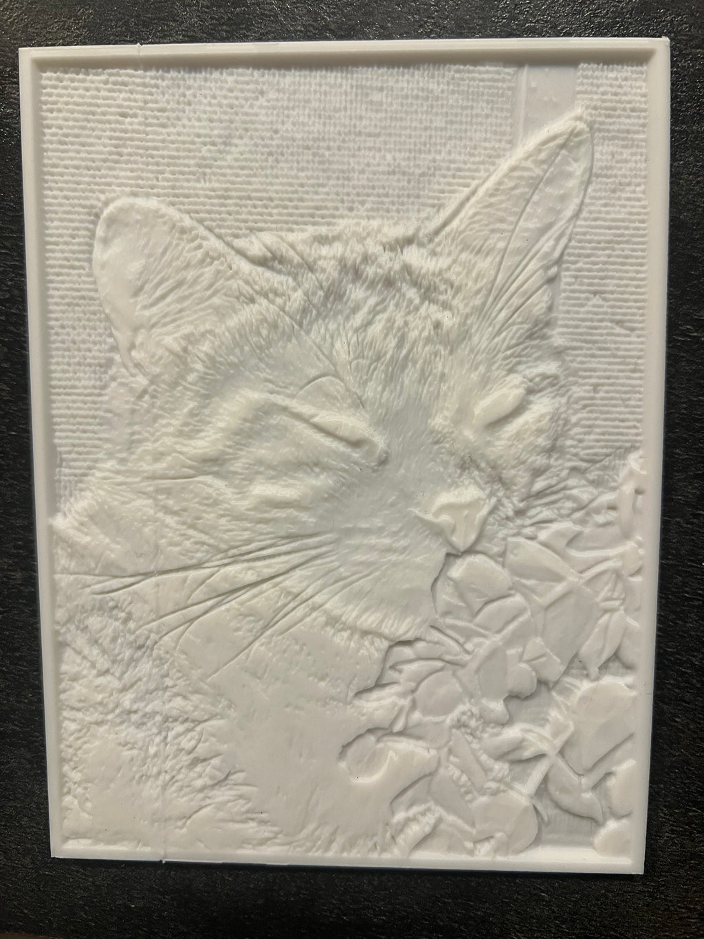 Custom Photo Lithophane