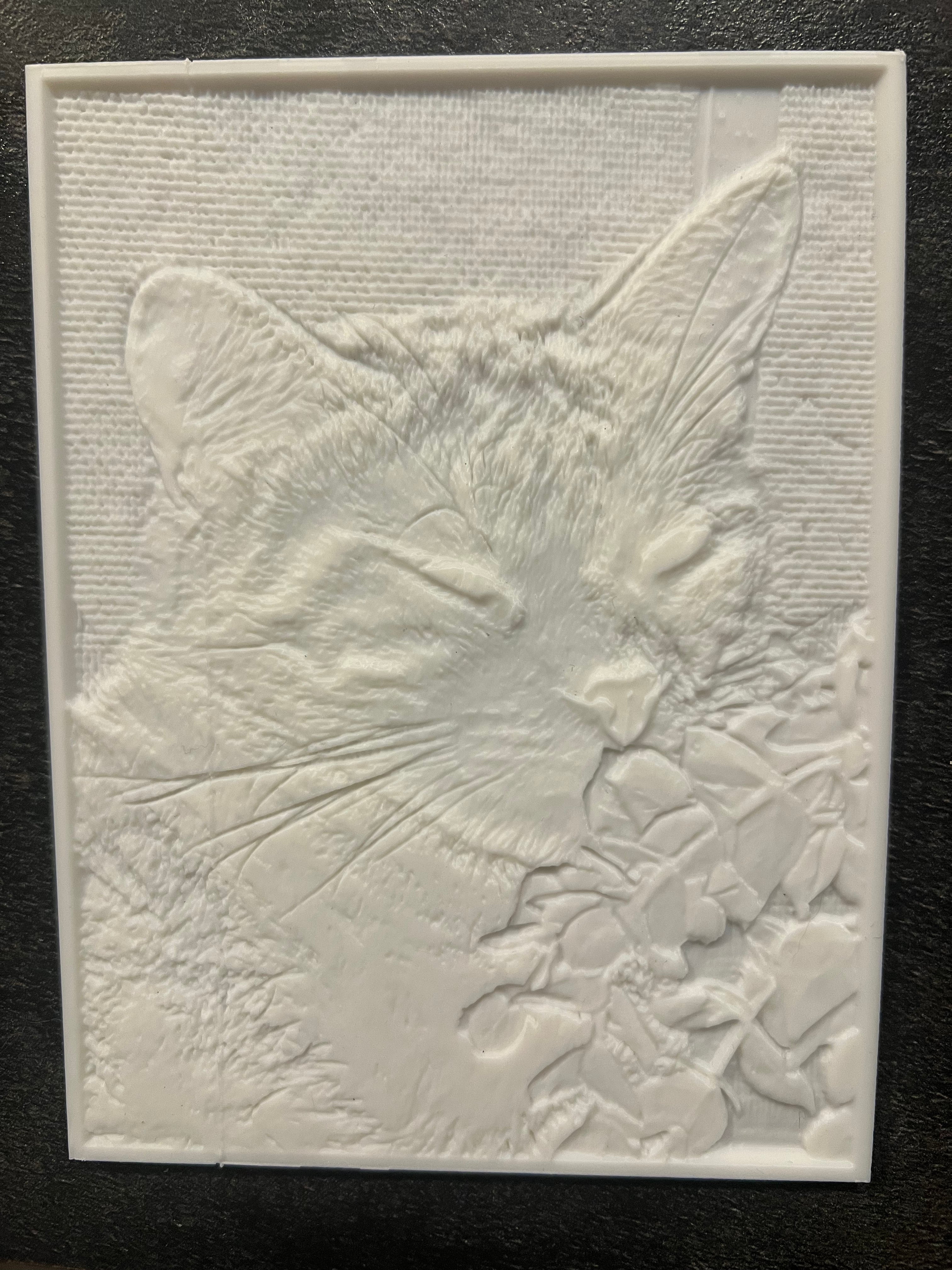 Custom Photo Lithophane