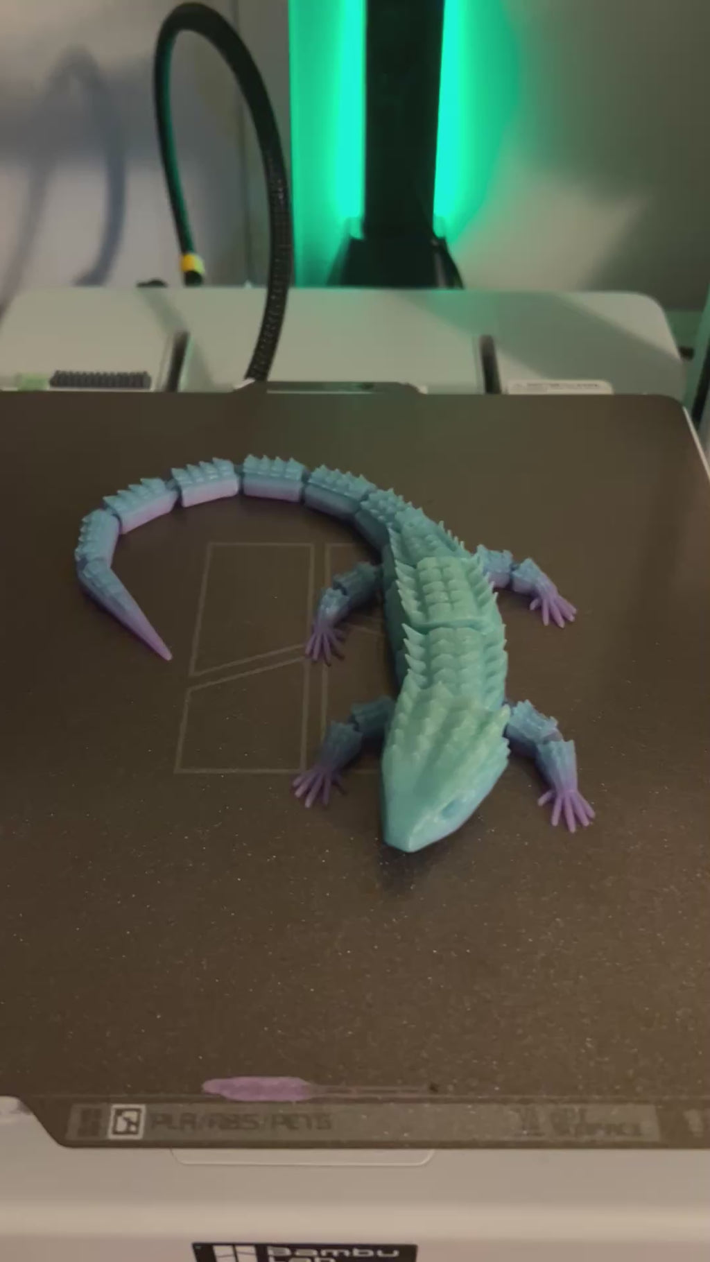 Articulated Lizard